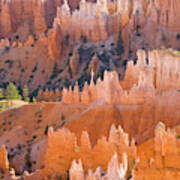 Sandstone Hoodoos In Bryce Canyon Poster