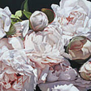 Peonies Poster