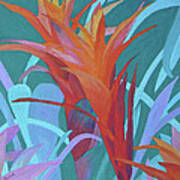 A Pattern Of Bromeliads Poster