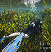 A Scuba Diver Swims Through An Poster