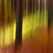 Abstract Forest 3 Poster