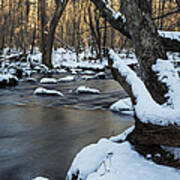 Adamsville Brook Poster