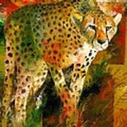 African Cheetah Poster