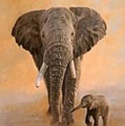 African Elephants Poster