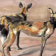 African Painted Dogs Poster