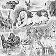 African Safari Poster