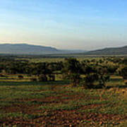 African Savannah Poster