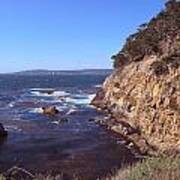 Afternoon At Point Lobos Poster