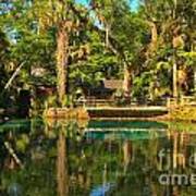 Afternoon Reflections At Juniper Springs Poster