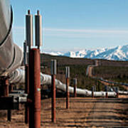 Alaska Oil Pipeline Near Delta Junction Poster