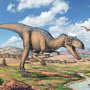 Allosaurus Dinosaur Poster