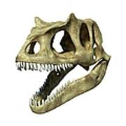 Allosaurus Dinosaur Skull, Artwork Poster