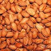 Almonds Poster