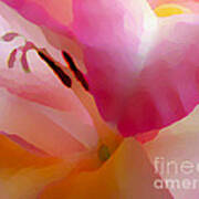 Gladiola Photo Painting Poster