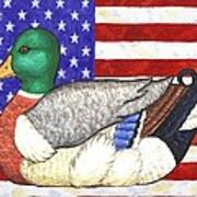 American Mallard Poster