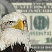 American Symbol Bald Eagle Against Dollar Currency Background Poster