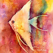 Angelfish Ii Poster