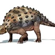 Ankylosaur Dinosaur, Artwork Poster