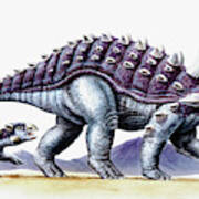 Ankylosaurus And Young Poster