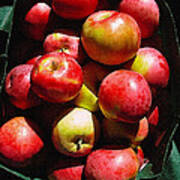 Apple Harvest Poster