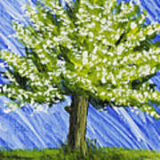 Apple Tree Painting With White Flowers Poster