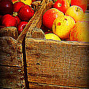 Apples In Old Bin Poster