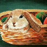 April Bunny Poster