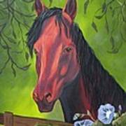 Arabian Horse Poster