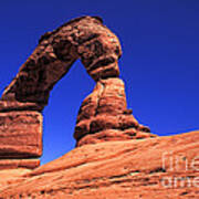 Arches National Park In Utah Poster