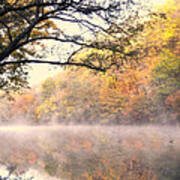 Arching Tree On The Current River Poster