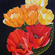 Arizona Blossoms - Prickly Pear Poster