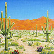 Arizona Desert Poster