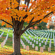 Arlington National Cemetery In Autumn Ii Poster