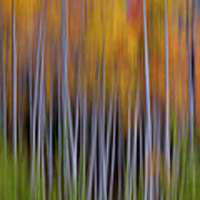 Aspen Abstract Poster