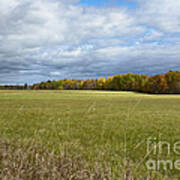 Autumn Afternoon Poster