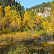 Autumn Aspen At Iron Creek Poster