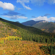 Autumn Color In Colorado Rockies Poster