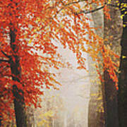 Autumn Colours Poster