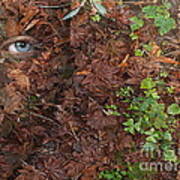 Autumn Dryad Forest Floor Poster