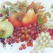 Autumn Fruits  / Sold Poster