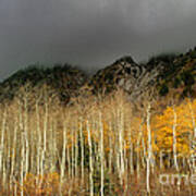 Autumn In Big Cottonwood Canyon Poster