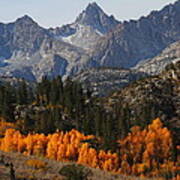 Autumn In Bishop Canyon In The Eastern Sierras Poster