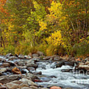 Autumn In Oak Creek Canyon Poster