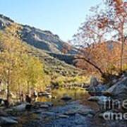 Autumn Leaves In Sabino Canyon At Sunset Poster