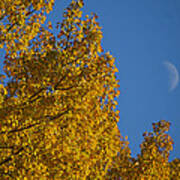 Autumn Moonrise Poster