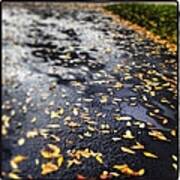Autumn Rain Poster
