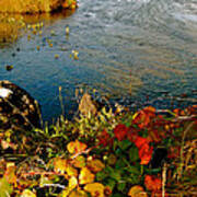 Autumn River Poster