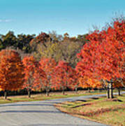 Autumn Road Poster