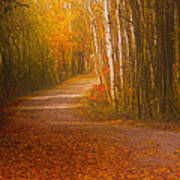 Autumn Roadway Poster