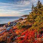 Autumn Shore In Acadia Poster